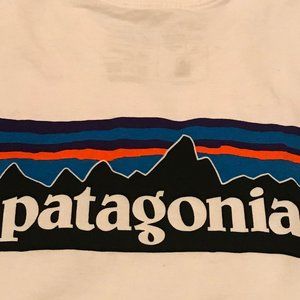 patagonia tee